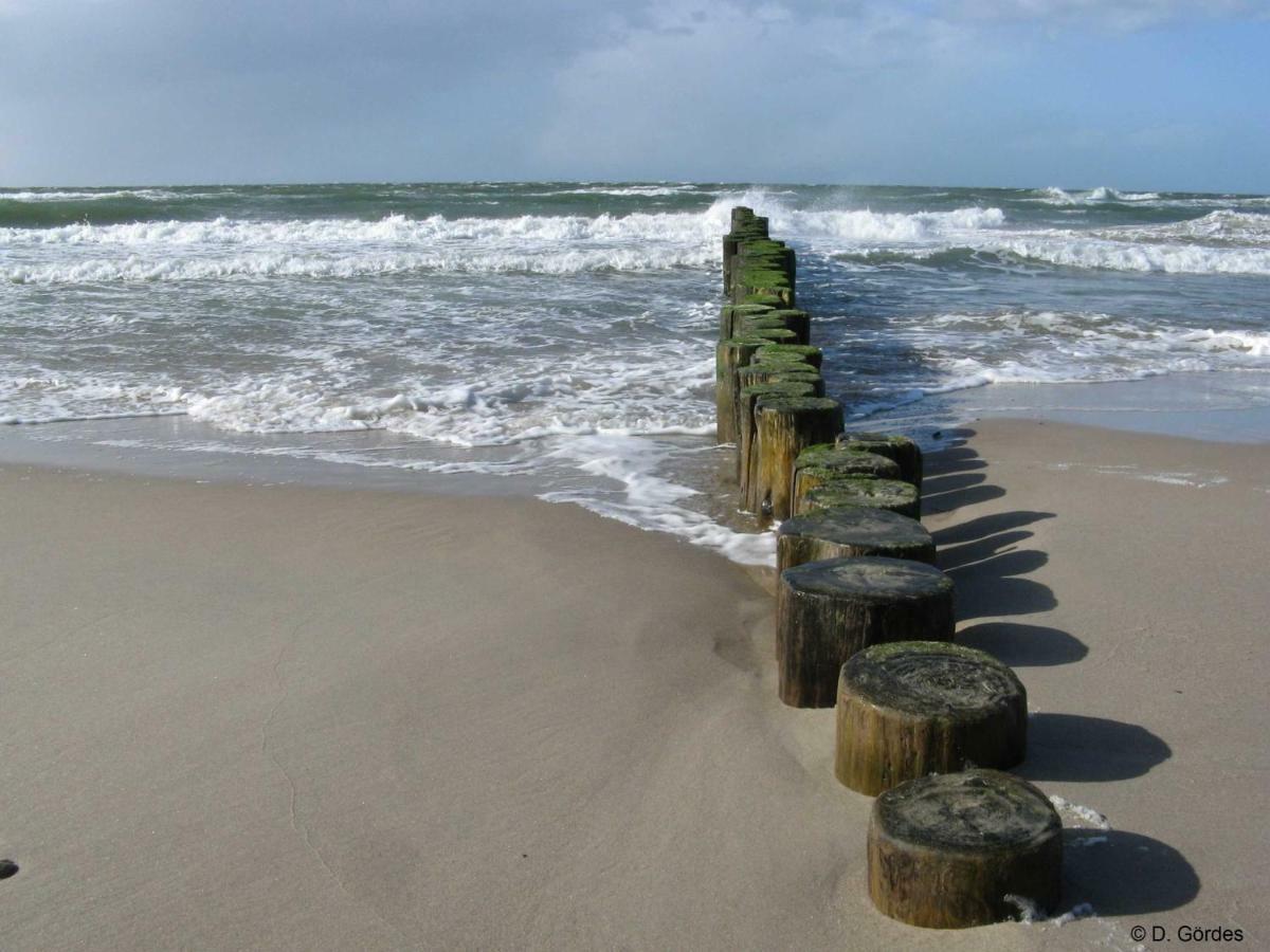 Ferienwohnung Ostseewald Rostock Kültér fotó